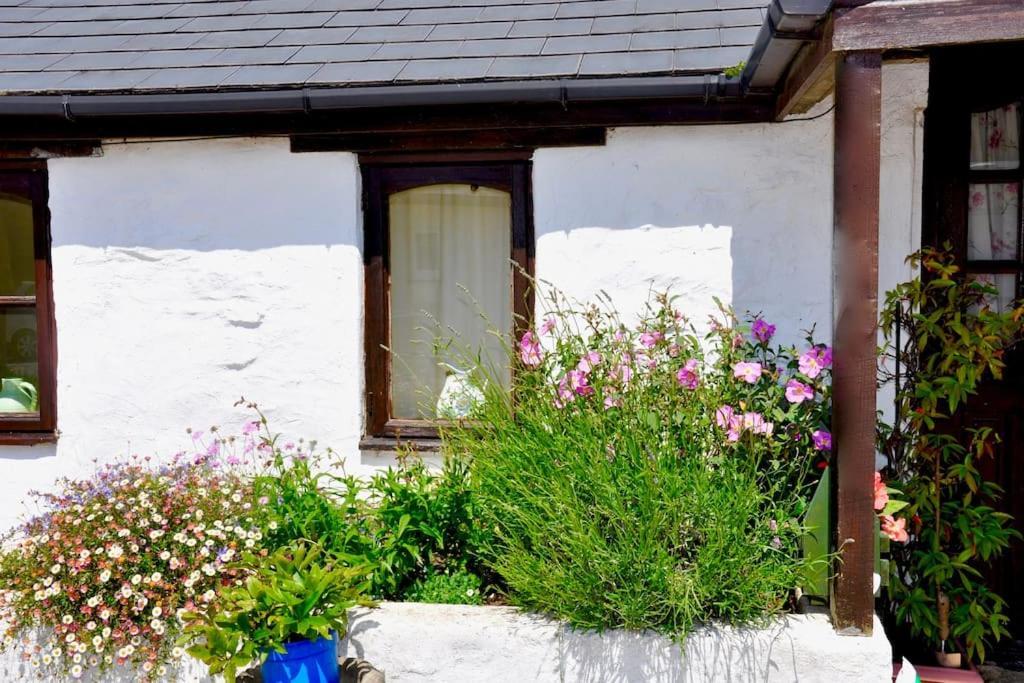 Stunning Annexe 1 Luxury Bedroom, Eating Area & Bathroom Only! トルーロー エクステリア 写真